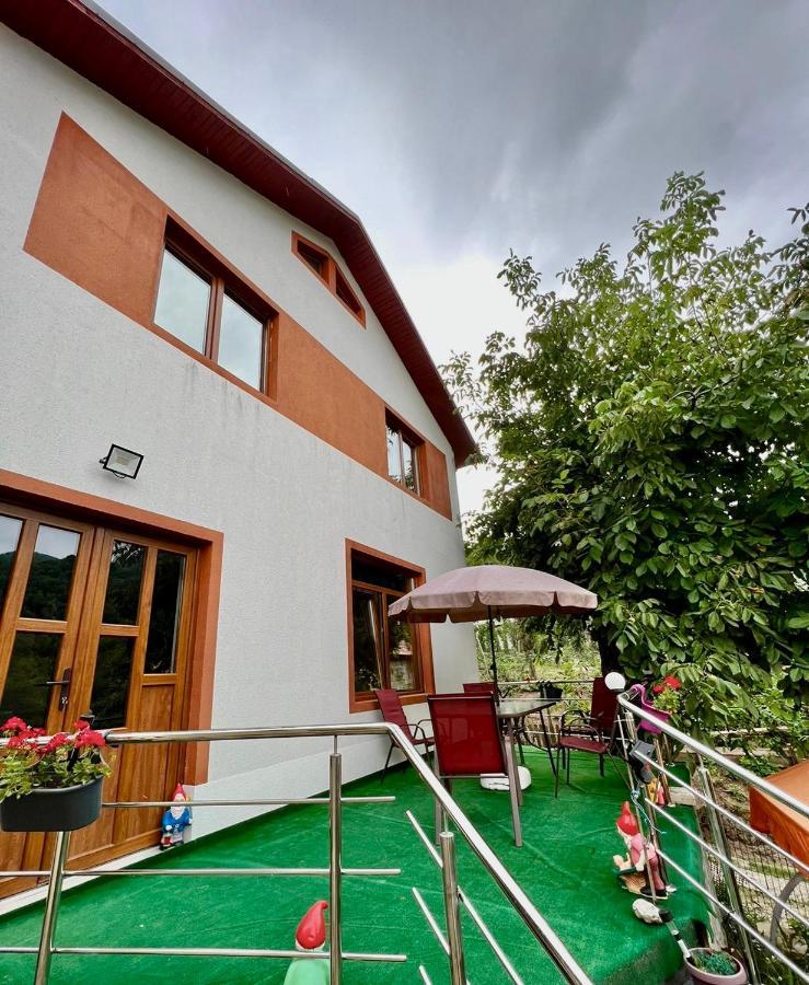 Casa Camelia Villa Nehoiu Buitenkant foto