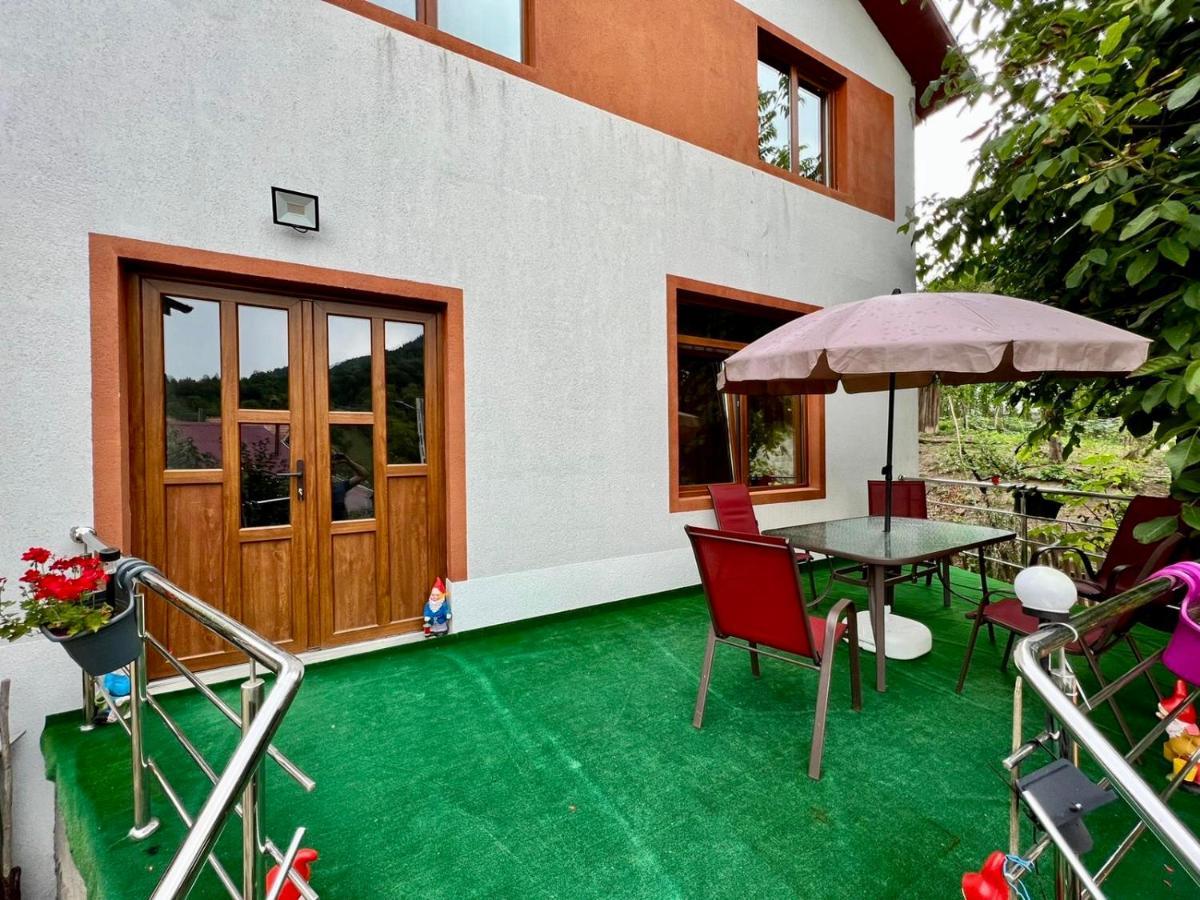Casa Camelia Villa Nehoiu Buitenkant foto