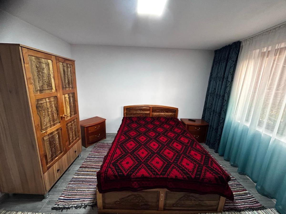 Casa Camelia Villa Nehoiu Buitenkant foto