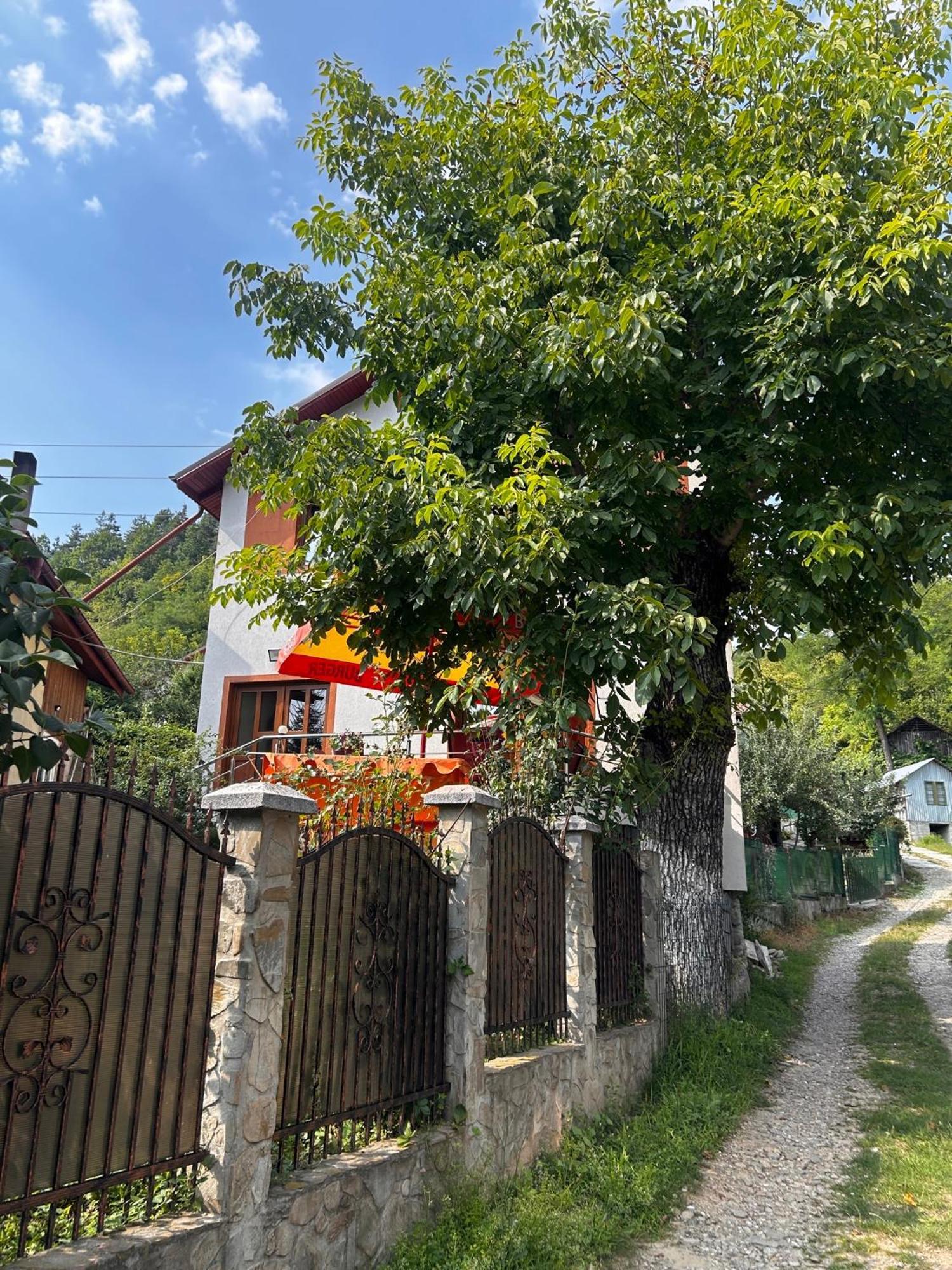 Casa Camelia Villa Nehoiu Buitenkant foto