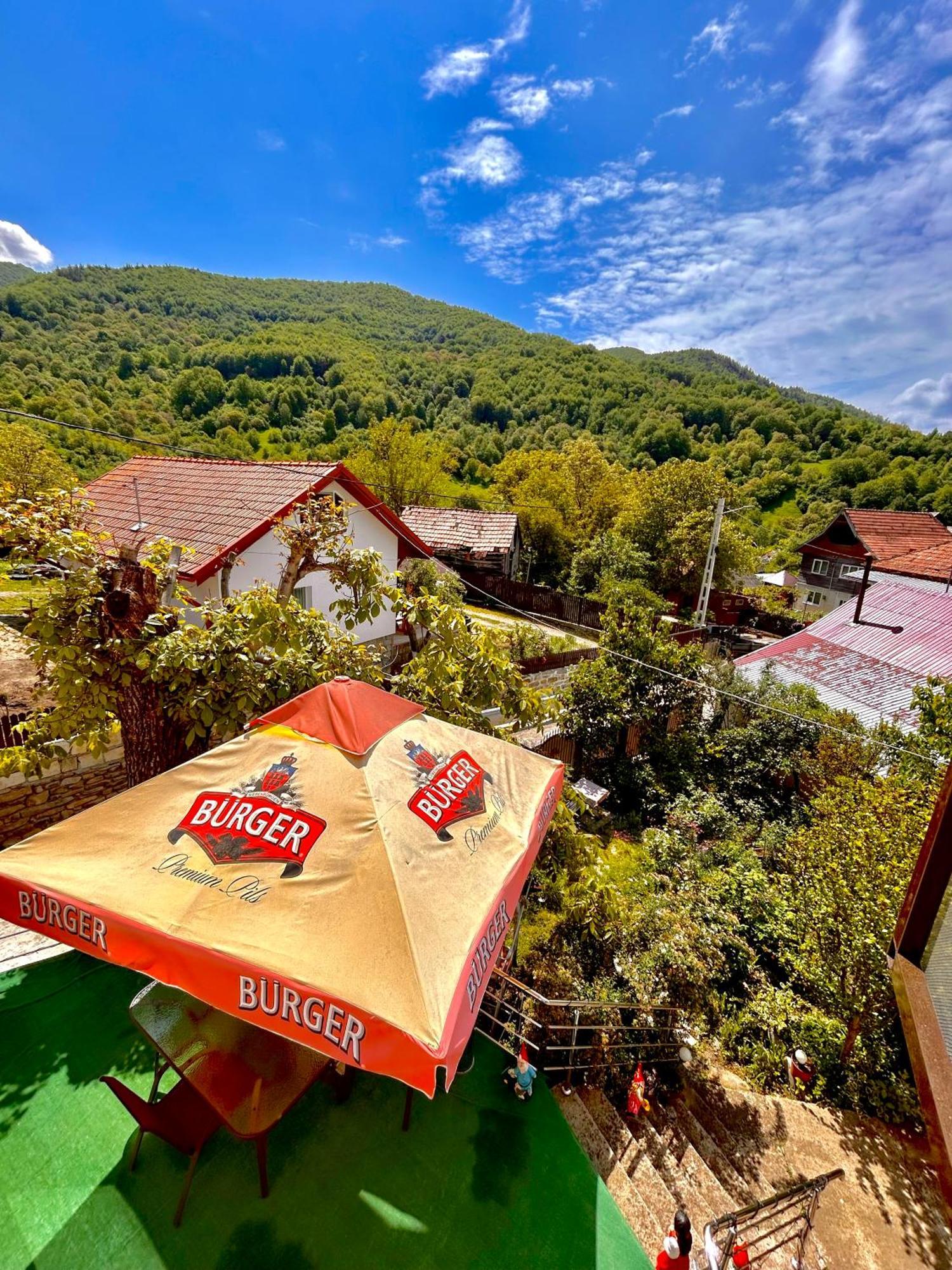 Casa Camelia Villa Nehoiu Buitenkant foto